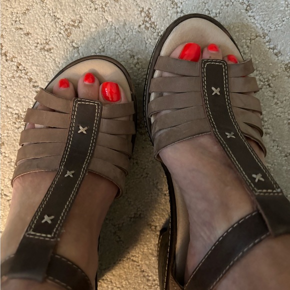 JAMBU 7.5 - Picture 10 of 10